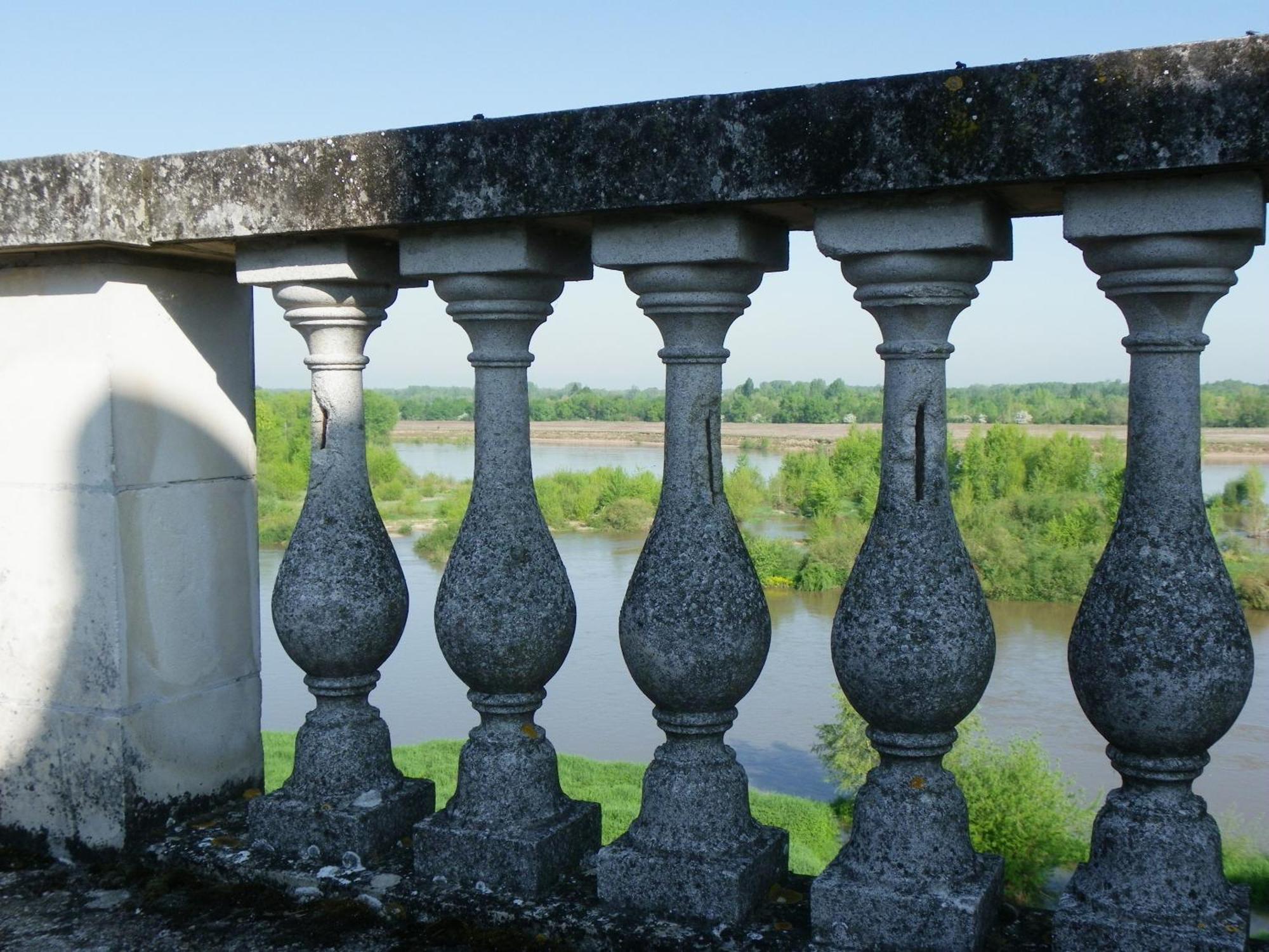 Chateau De Colliers Muides-sur-Loire Kamer foto
