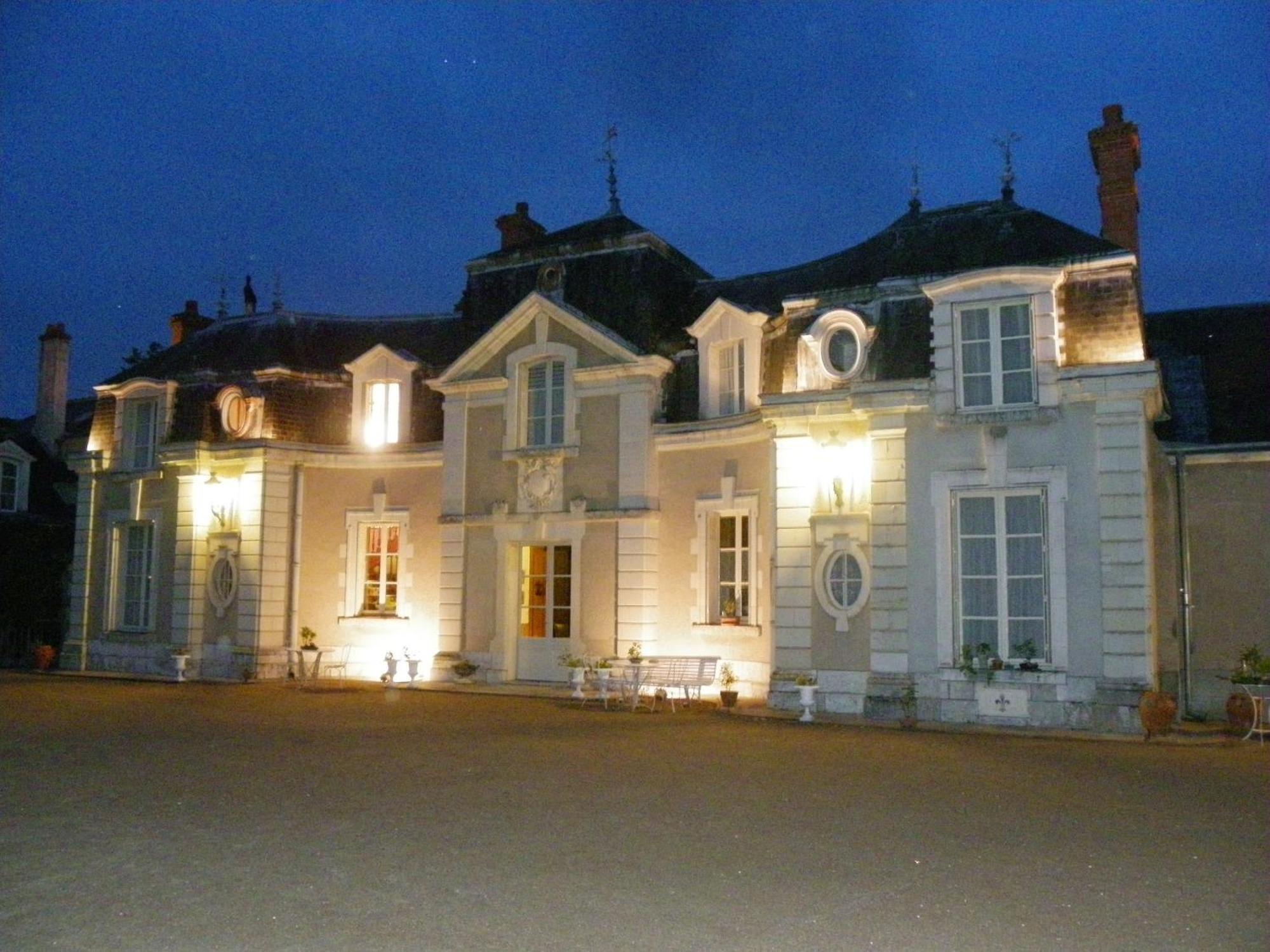 Chateau De Colliers Muides-sur-Loire Buitenkant foto